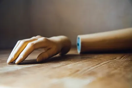 Kasino Wild Fortune Mobiilisovellus